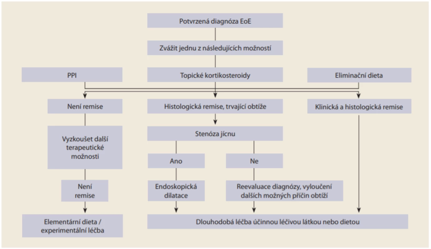 Léčebný algoritmus eozinofilní ezofagitidy pro klinickou praxi, adaptováno z Lucendo et al [1].<br>
Fig. 4. Therapeutic algorithm proposed for eosinophilic esophagitis in clinical practice, adapted from Lucendo et al. [1].
