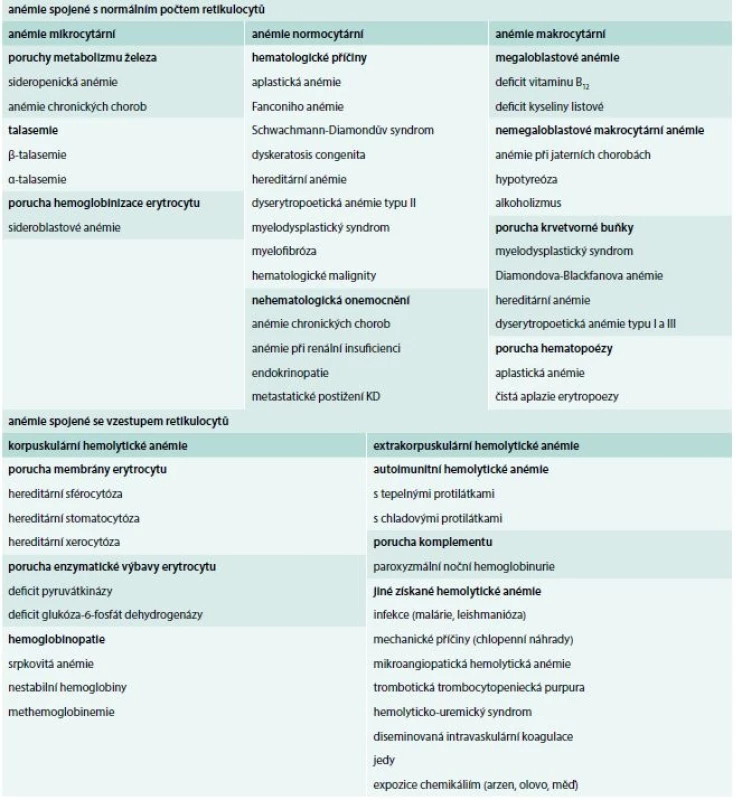 Diferenciální diagnostika anémií s rozdělením dle morfologie erytrocytu a počtu retikulocytů v periferní krvi