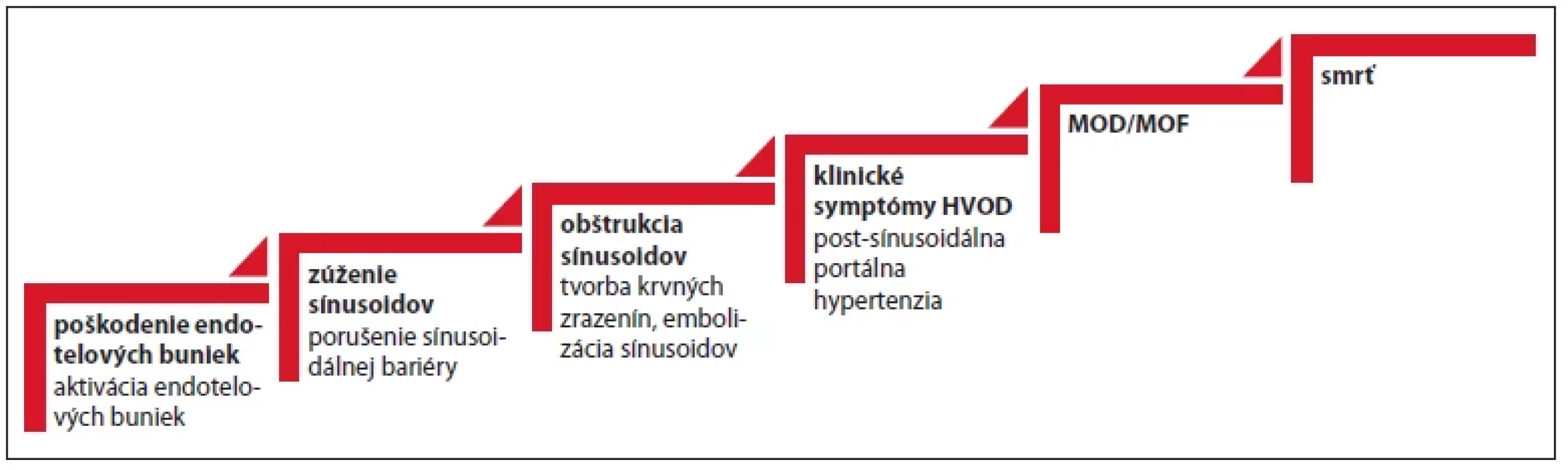 Patofyziologický proces HVOD.