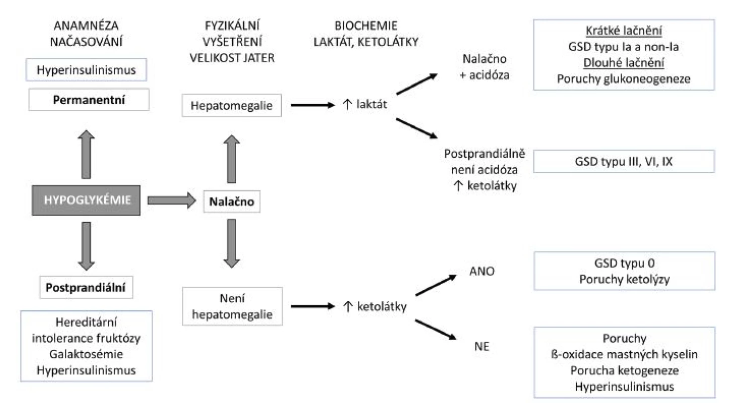 Diagnostický přístup k hypoglykémii.
GSD – <i>glykogenóza</i>