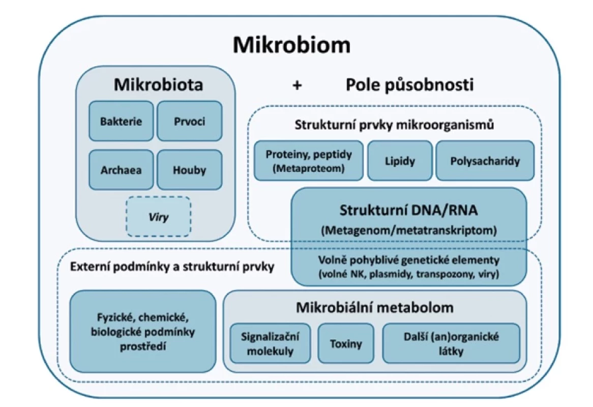 Schéma znázorňující praktickou souvztažnost jednotlivých pojmů<br>
(Upraveno dle Berg et al. [22]).<br>
Figure 1. Schematic representation of the interrelatedness of terms<br>
(Adapted from Berg et al. [22]).