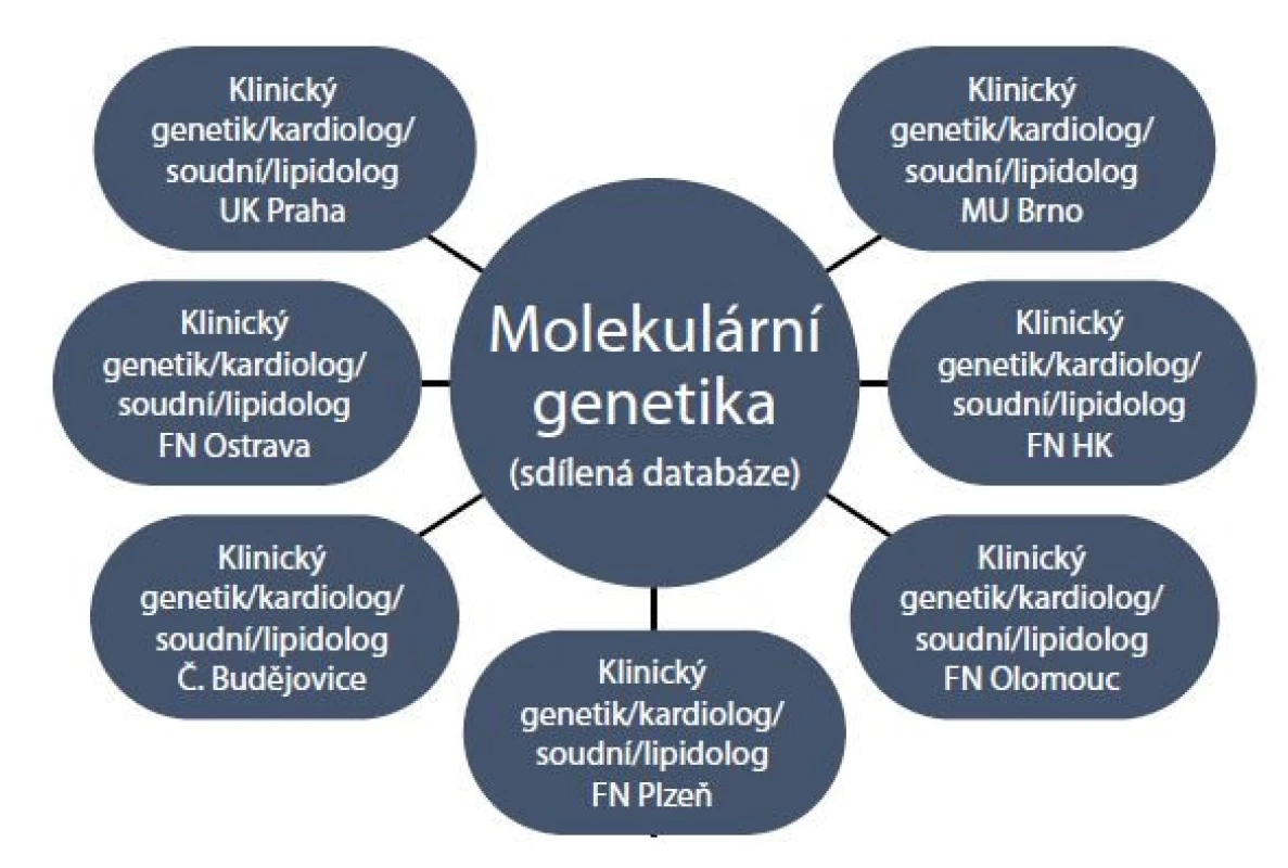 Návrh multidisciplinární péče v jednotlivých centrech.