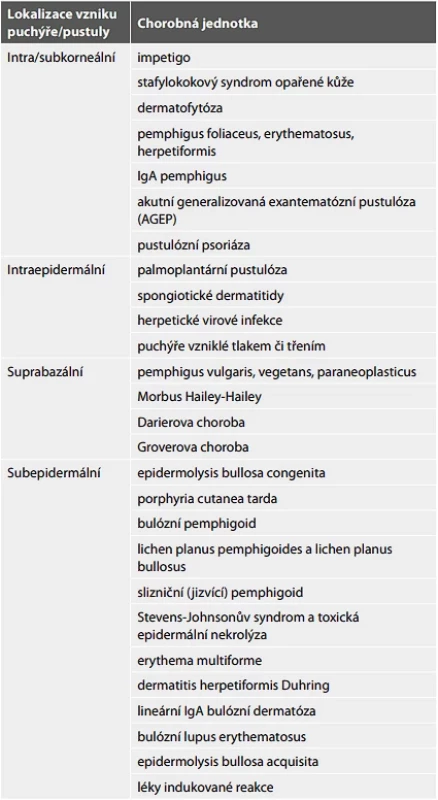 Základní přehled puchýřnatých a  pustulózních onemocnění kůže a sliznic.