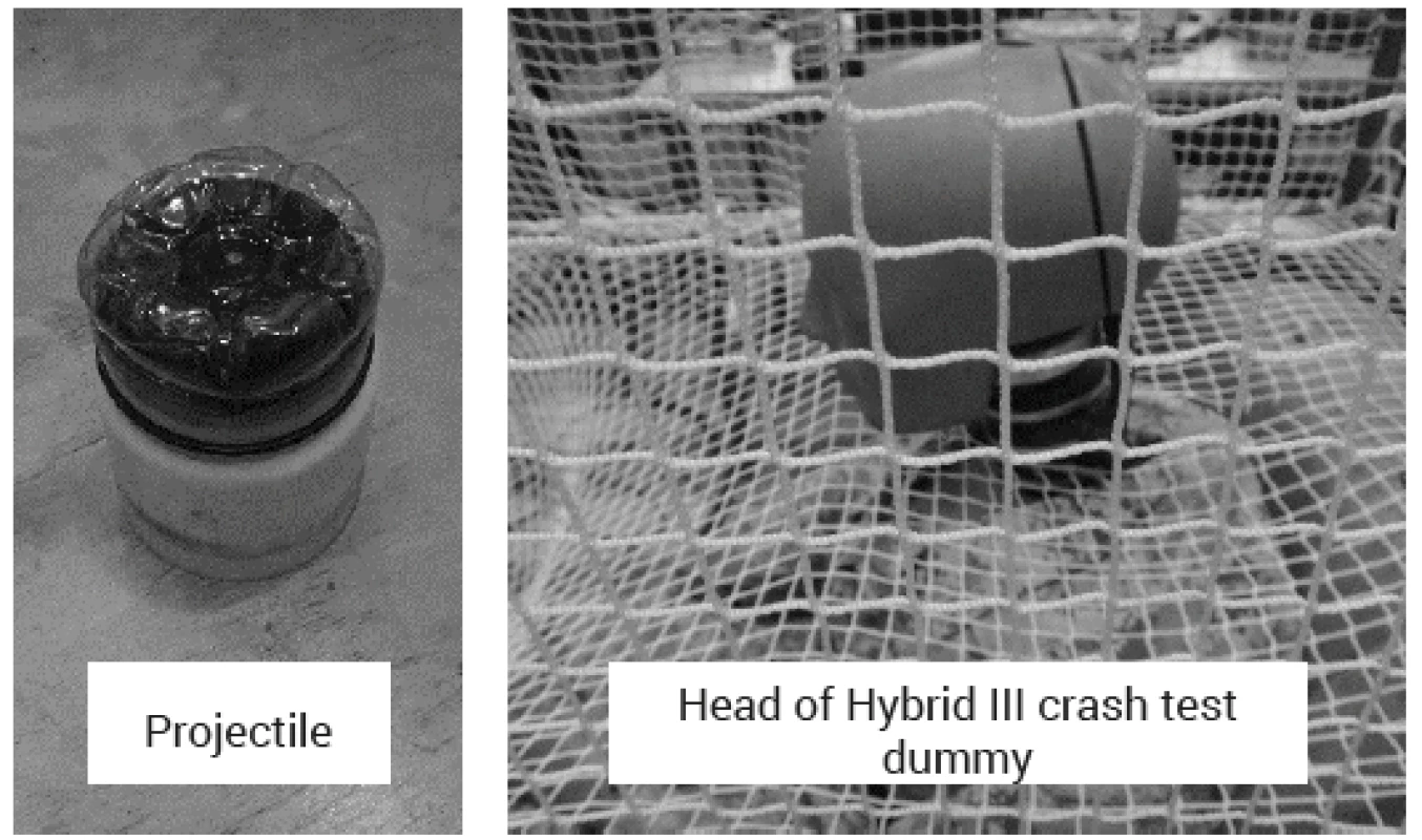 Realistic representation of the projectile and the Hybrid III dummy
head