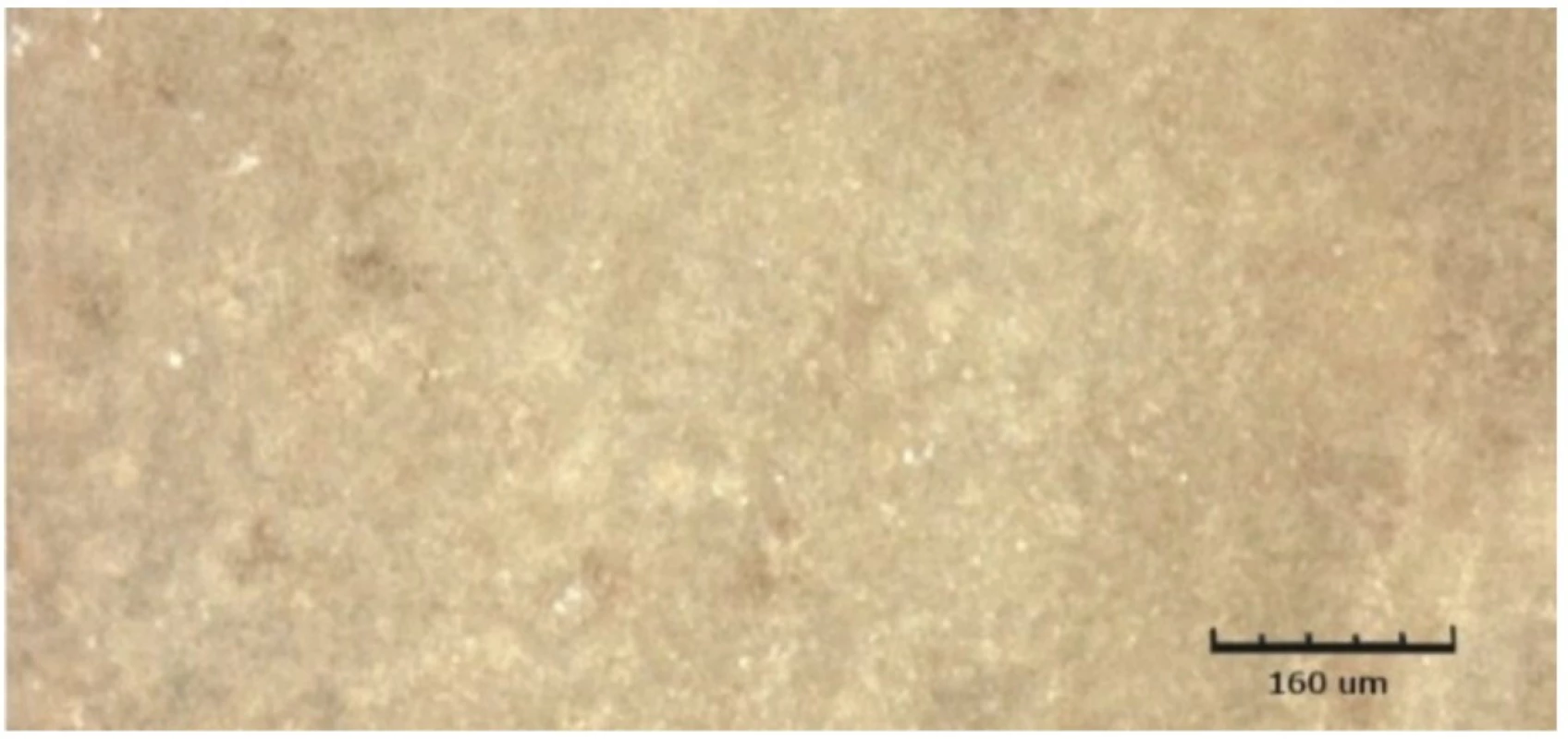 Kontrolní vzorek Omnifill C ve vodě, zobrazeno CLSM<br>
Fig. 7 Control sample of Omnifill C in water, shown by CLSM
