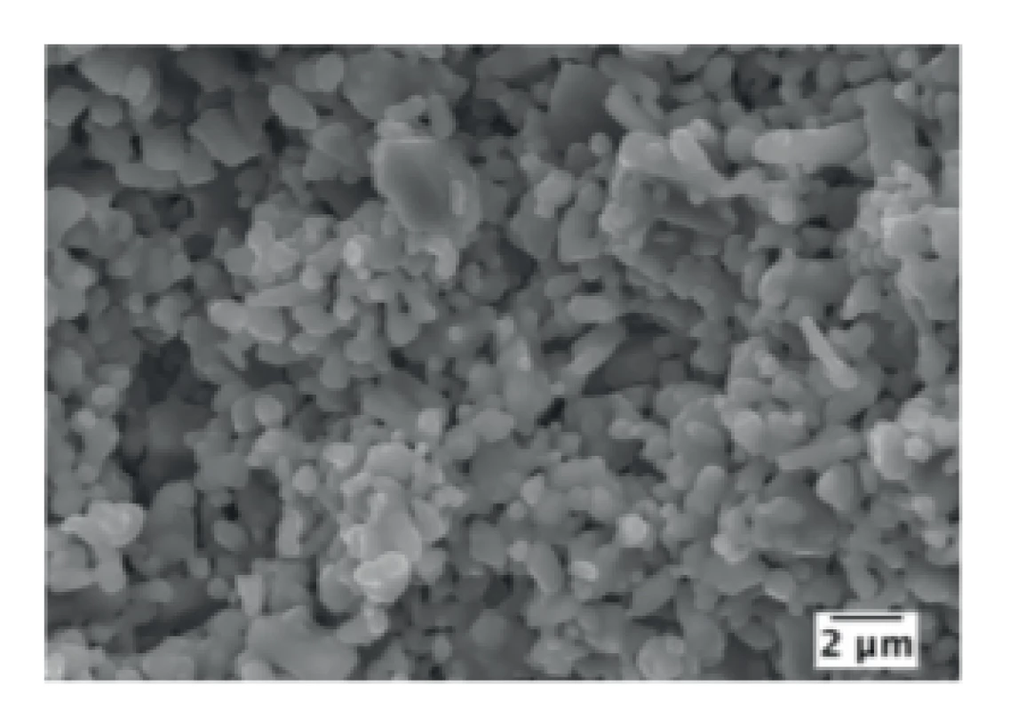 Microstructure of the sintered rods.