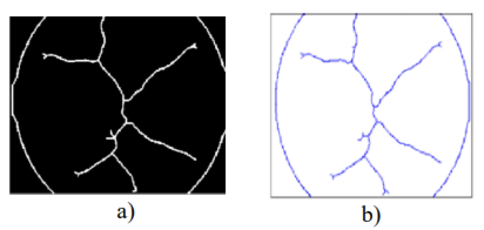 a) Skeletonization of image, b) transformation
into the coordinate system