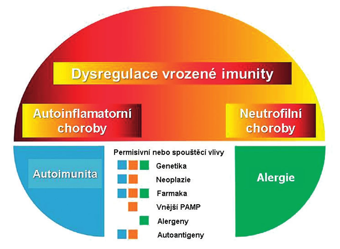 Pyoderma gangrenosum v konceptu chorob
s autoinflamatorní komponentou.