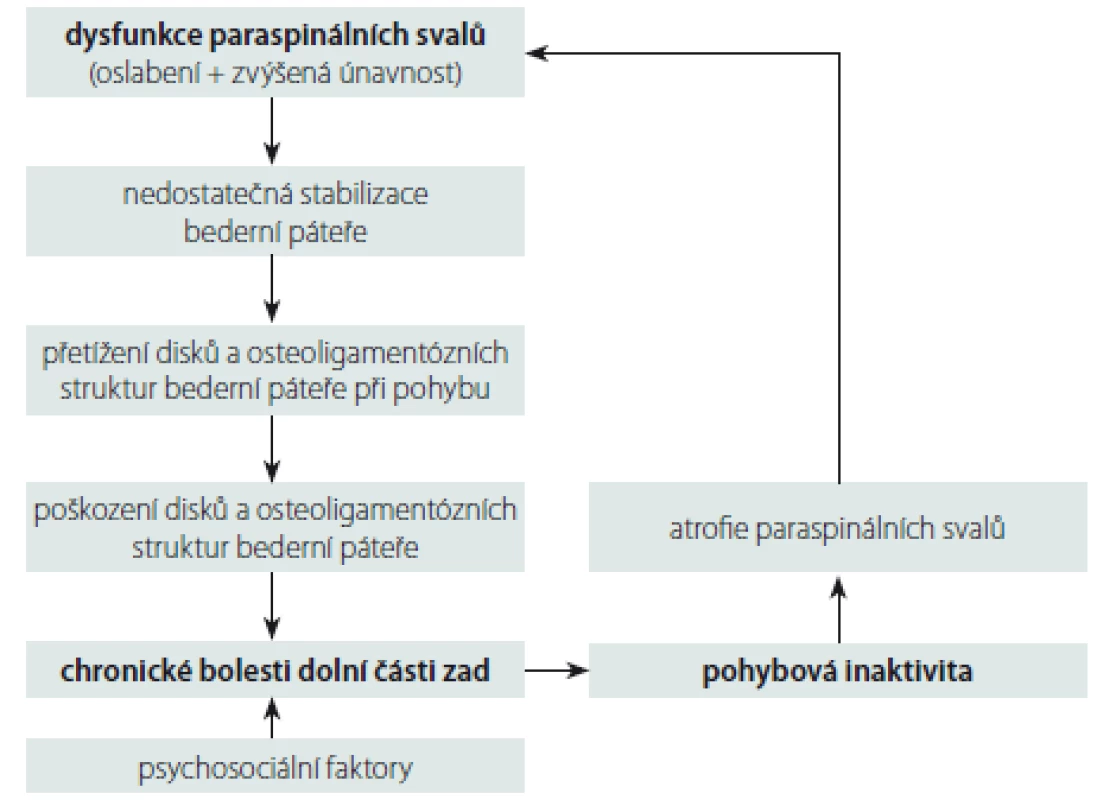 Schéma mechanizmů rozvoje chronických nespecifických bolestí
dolní části zad.<obr>
Fig. 1. Diagram of mechanisms of development of chronic non-specific low back pain.