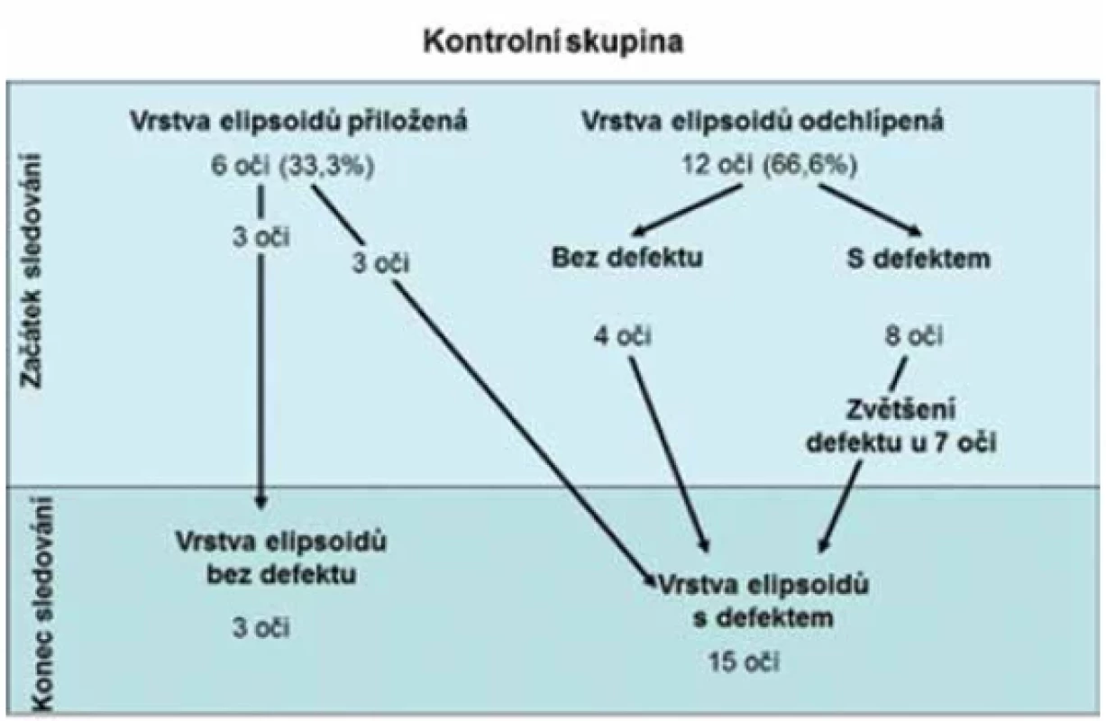 Stav vrstvy elipsoidů v čase u kontrolní skupiny