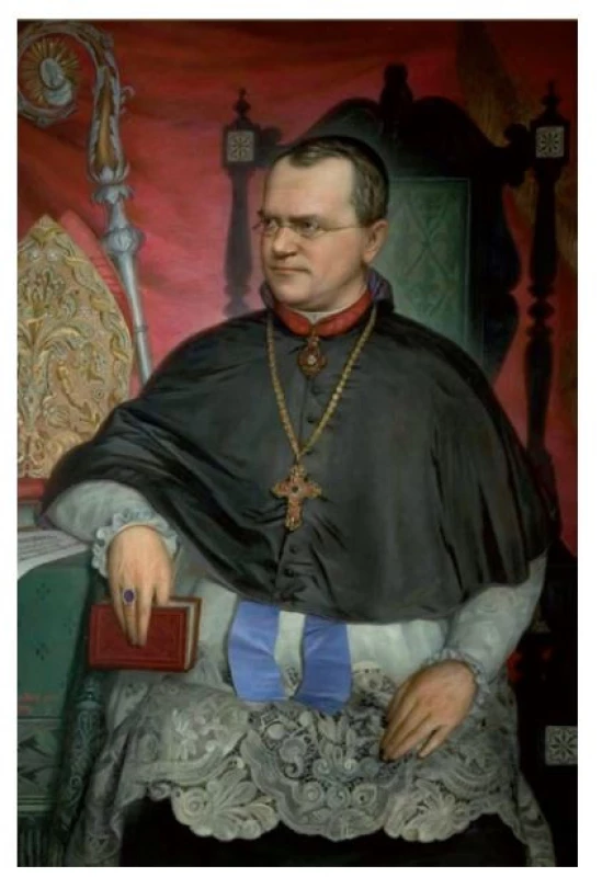 Obraz Gregora Mendela byl vytvořen v roce 1884 jako oficiální
podobizna opata augustiniánského kláštera na Starém Brně.
Autorem je brněnský malíř Alois Zenker (1845–1903). Portrét
zachycuje opata Mendela s atributy jeho úřadu – berlou, mitrou
a prstenem. Pravděpodobně vznikl těsně před jeho smrtí, nebo
spíše až po ní, protože Mendel zemřel v prvních dnech téhož roku.
Předlohou autorovi byla patrně fotografie umístěná dnes v Moravském
zemském muzeu v Brně.