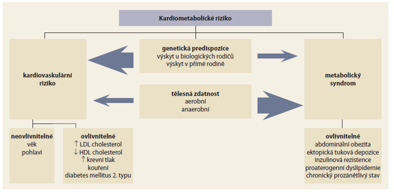 Kardiometabolické riziko [60].
Fig. 2. Cardiometabolic risk [60].