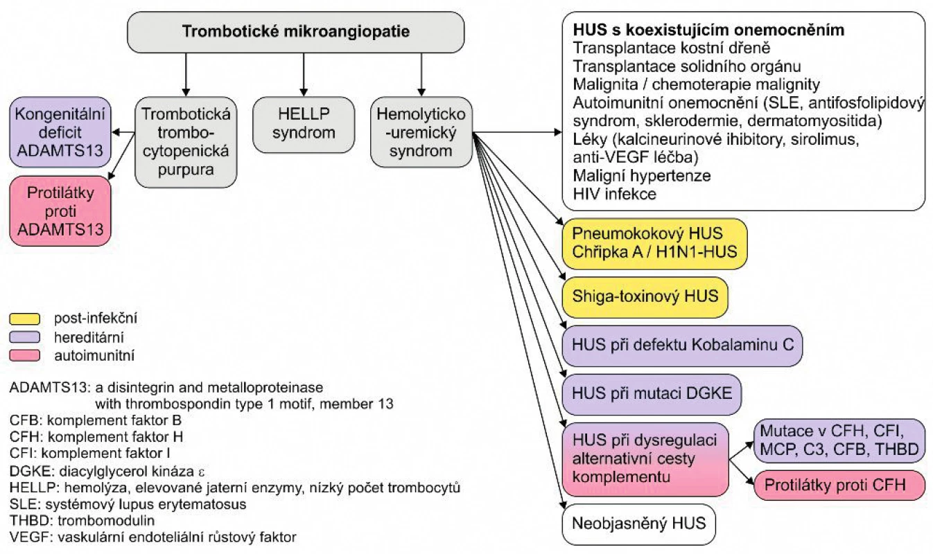 Etiologie trombotické mikroangiopatie. <br> (Upraveno podle Loirat Ch, et al. An international consensus approach to the mana- gement of atypical hemolytic uremic syndrome in children. Pediatr Nephrol 2016 Jan; 31 (1): 17)