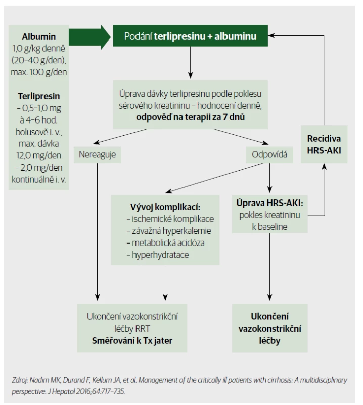 Praktický postup při terapii terlipresinem a albuminem