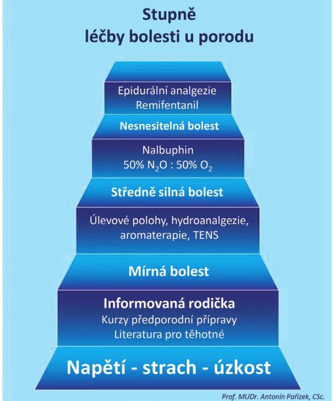 Volba analgezie u porodu