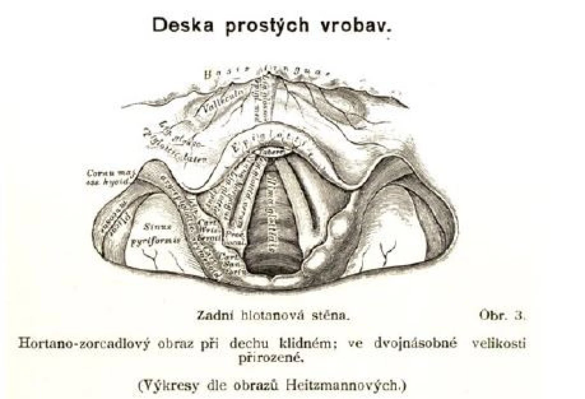 Ilustrace z knihy „Důležitosť kořenů slovných v řeči lidské a duch řeči lidské“ (14)