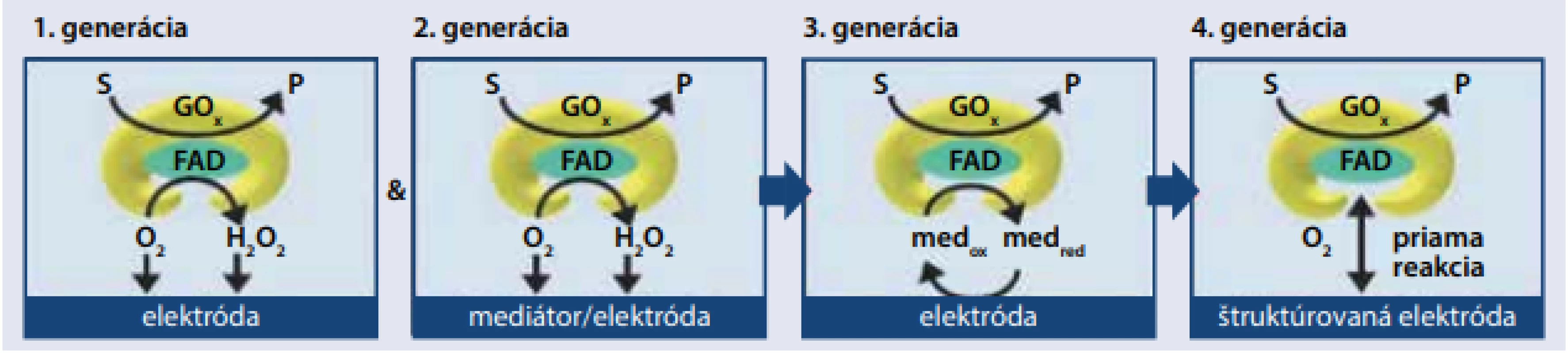 Glukózové senzory na báze glukózo-oxidázy [12]