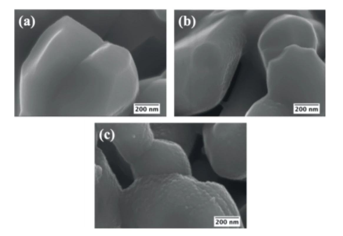 SEM micrographs of the surface of scaffolds
after immersion in SBF for (a) 0 h; (b) 7 days and (c)
14 days.