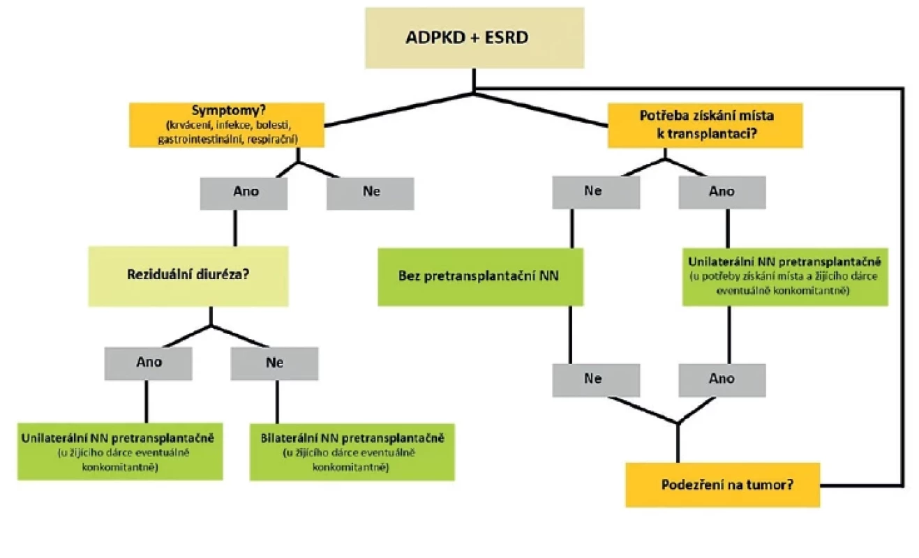 Rozhodovací schéma o provedení NN <br> 
Fig. 3. Decision scheme on performing native nephrectomy in ADPKD