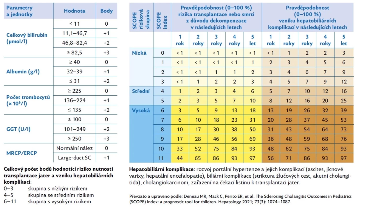 SCOPE index (Sclerosing Cholangitis Outcomes In Pediatrics)