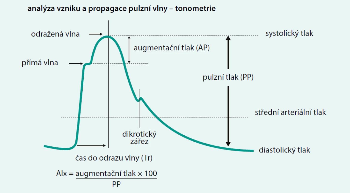 Záznam pulzové vlny. Záznam ukazuje navýšení systolického tlaku důsledkem časného návratu
odražené vlny. Rozdíl tlaků mezi odraženou (sekundární) vlnou a dopřednou (primární) vlnou se označuje
jako augmentační tlak. Poměr augmentačního tlaku k pulznímu tlaku se označuje jako augmentační index
(AI)
