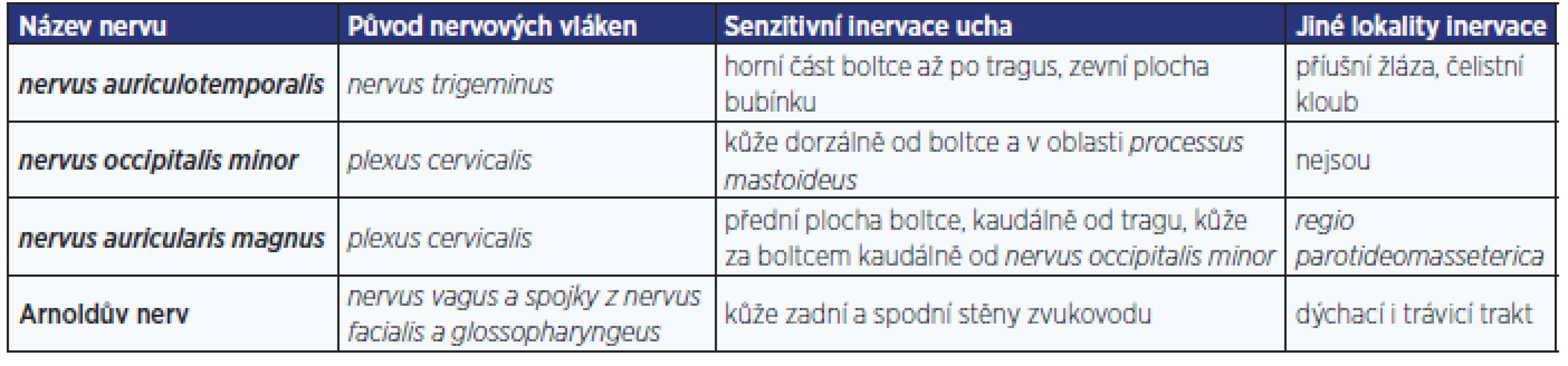 Přehled inervace ucha