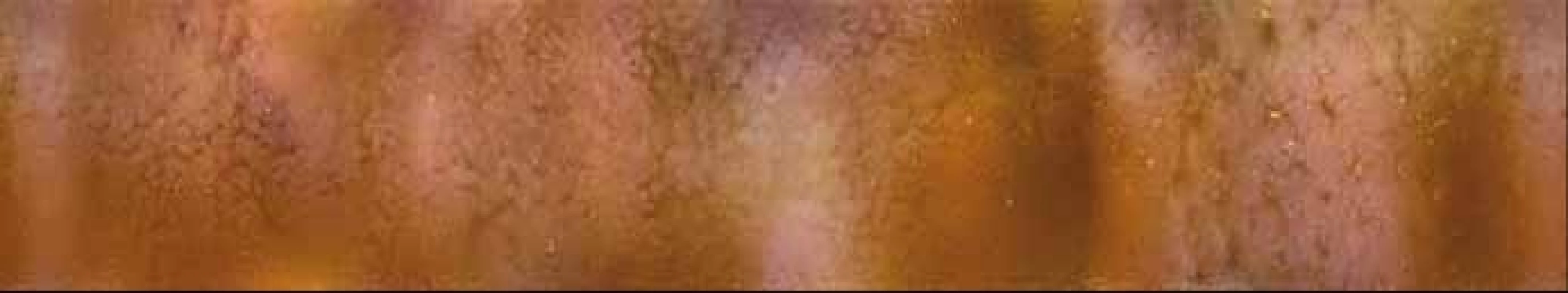 Normální endoskopický nález v ileu, prase domácí – kapslová endoskopie.<br>
Fig. 3. Normal endoscopic findings in the ileum, domestic pig – capsule endoscopy.
