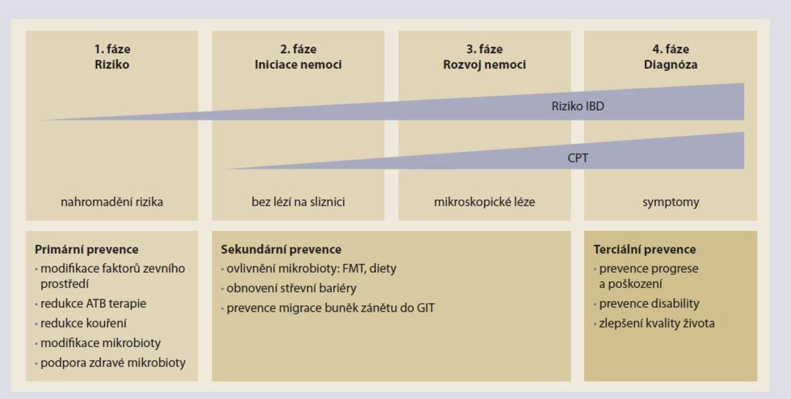 Navržené fáze rozvoje IBD dle Torres et al [8].<br>
Fig. 1. Proposed phases of IBD development according to Torres et al [8].