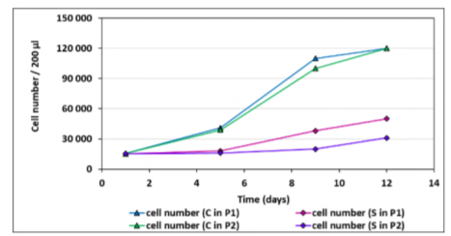 Growth curves of hMSCs. The data represent the
mean ± SEM of five independent experiments (respective
SEM is less than the size of the symbol for each point).
C – control (hMSCs without bovine bone tissue), P1 –
the first passage of hMSCs, S – sample (hMSCs with
bovine bone tissues), P2 – the second passage of hMSCs.