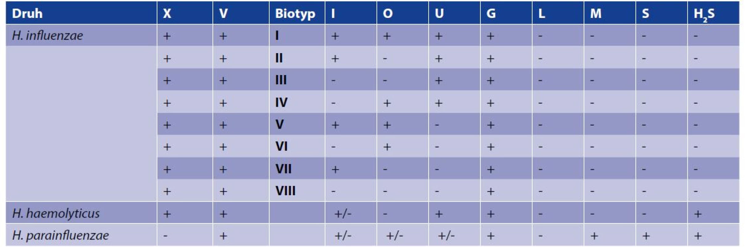 Biotypy H. influenzae a fenotypové vlastnosti vybraných blízkých druhů<br>
Table 1. H. influenzae biotypes and phenotypic characteristics of selected closely related species
