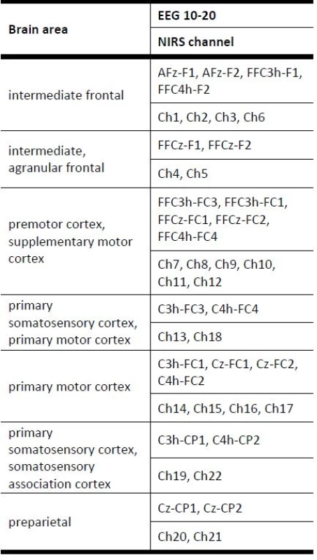 Result of an expertise mapping of NIRS channels to anatomical brain areas [14].