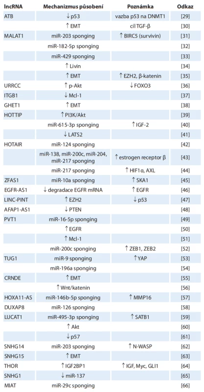 Přehled onkogenních lncRNA v patogenezi karcinomu z renálních buněk
a jejich biologických funkcí. 