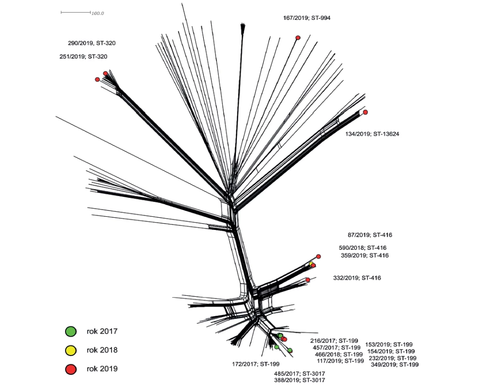 Vizualizace genetické diverzity populace S. pneumoniae sérotypu 19A z Evropy<br>
Figure 2. Visualization of genetic diversity of the population of S. pneumoniae serotype 19A from Europe