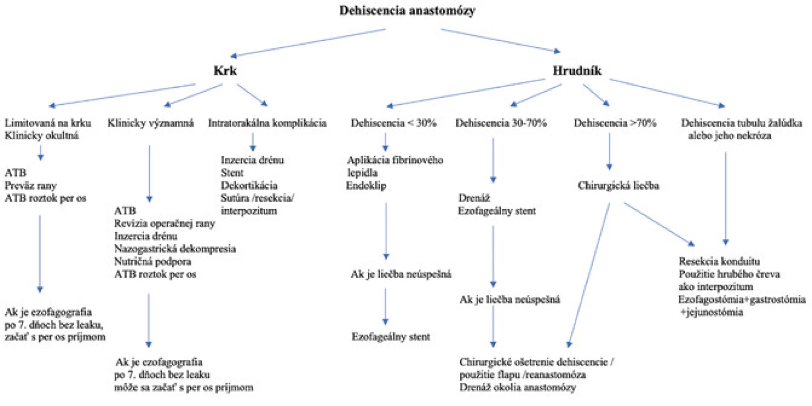 Algoritmus liečby dehiscencie pažerákovej anastomózy<br>
Fig. 5: Algorithm of treatment of oesophageal anastomotic dehiscence.