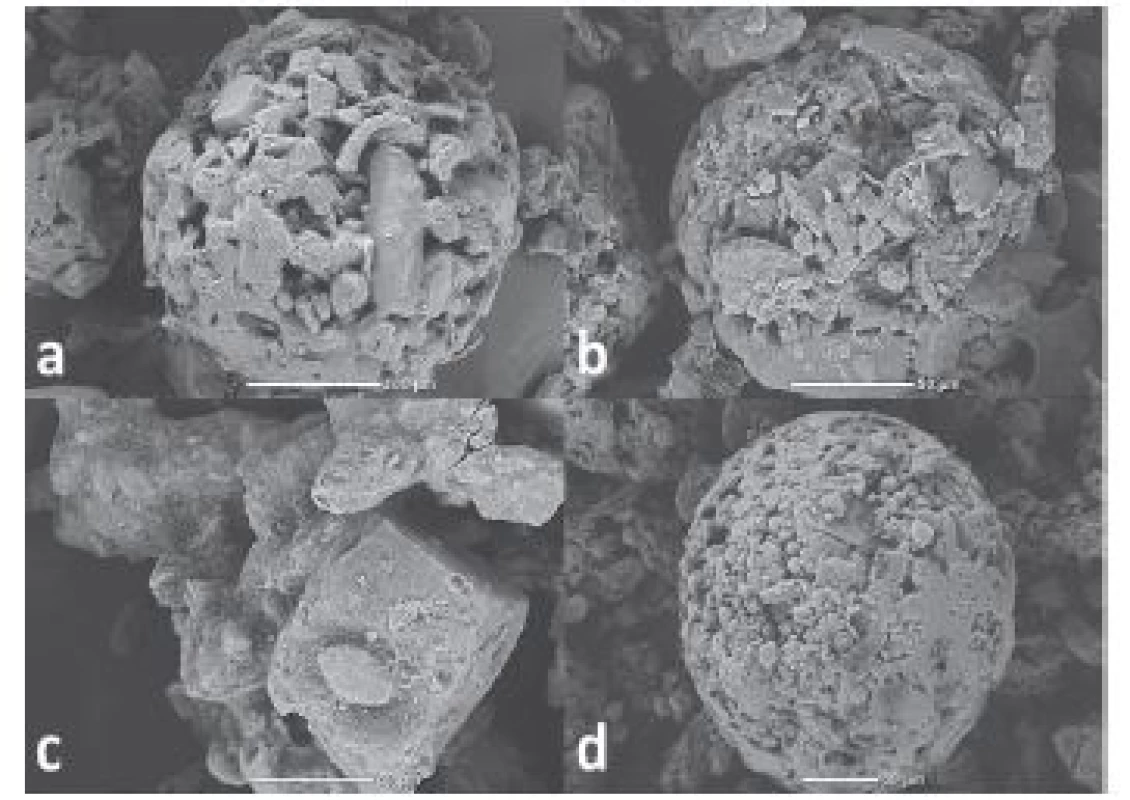 Spray-dried CPE<br>
a) Cellactose® 80, b) MicroceLac® 100, c) RetaLac®,<br>
d) StarLac®