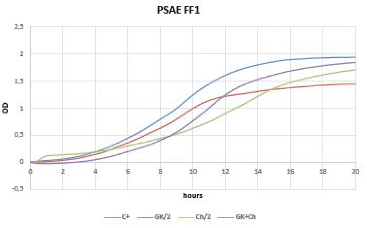 Optical density (OD) measurement dynamics within 20 hours
in <i>Pseudomonas aeruginosa</i> FF1 strain
Curves (C+ control, GK/2 Gum Karaya in double dilution, Ch/2
chitosan in double dilution, GK+Ch Gum Karaya and chitosan
mixture).