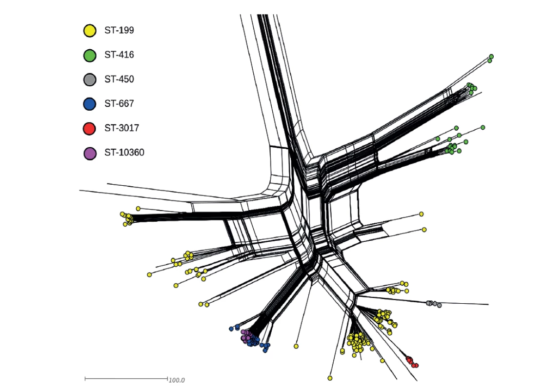 Vizualizace genetické diverzity u evropské subpopulace (ST-199, ST-416, ST-450, ST-667,
ST-3017, ST-10360) izolátů S. pneumoniae sérotypu 19A<br>
Figure 3. Visualization of genetic diversity of the European subpopulation of S. pneumoniae serotype
19A isolates (ST-199, ST-416, ST-450, ST-667, ST-3017, and ST-10360)