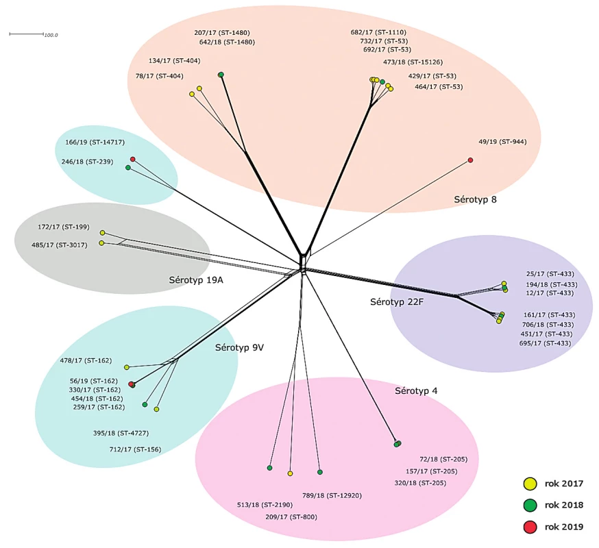 Vizualizace genetické diverzity na úrovni schématu rMLST u 35 izolátů S. pneumoniae z IPO, 2017–2019, ČR<br>
Figure 2. Visualisation of genetic diversity according to the rMLST scheme of 35 S. pneumoniae isolates from IPD, 2017–2019, Czech
Republic 