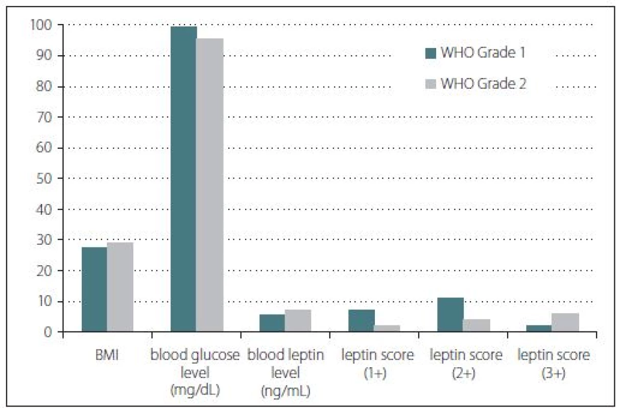 Bar graph demonstrating the results of the leptin study. There is no statistically significant difference observed between the parameters. BMI – body mass index; WHO – World Health Organisation<br>
Obr. 1. Sloupcový graf znázorňující výsledky studie leptinu. Nebyly nalezeny žádné signifikantní rozdíly mezi parametry. BMI – index tělesné hmotnosti; WHO – Světová zdravotnická organizace