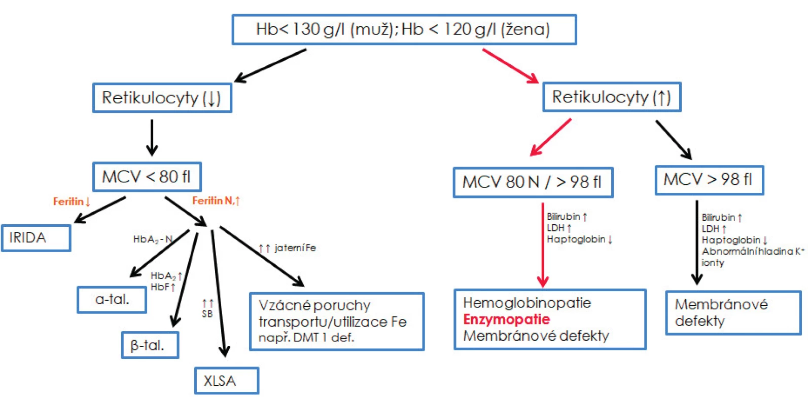 Diferenciální diagnostika vrozených nesférocytárních hemolytických anémií<br> Základní diferenciální diagnostika může pouze podpořit/vyloučit podezření na enzymový deficit, není však schopna rozlišit jednotlivé enzymové defekty, které umožní rozlišit až biochemické analýzy. N – normální; ↓ – snížený; ↑ – zvýšený; XLSA – sideroblastická anémie s dědičností vázanou na chromozom X; α-tal. – α-talasemie minor; β-tal. – β-talasemie minor; IRIDA – „iron refractory iron deficiency anemia“ tzv. anémie z nedostatku železa, která nereaguje na léčbu železem; DMT1 def. – anémie způsobená mutací v genu pro transmembránový transportér železa DMT1; SB – sideroblasty; HbA2 – varianta hemoglobinu dospělého typu skládající se z alfa a delta řetězců; HbF – fetální hemoglobin; Fe – železo, Hb – hemoglobin; MCV – střední objem erytrocytu; HbF – fetální hemoglobin; LDH – laktátdehydrogenáza.
