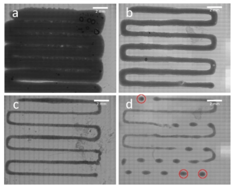  Analysis of printability. Patterns were printed
with 100 kPa (a), 75 kPa (b), 60 kPa (c) and 50 kPa (d).
Red circles indicating spots within the scaffold which
were observed in terms of cell viability.