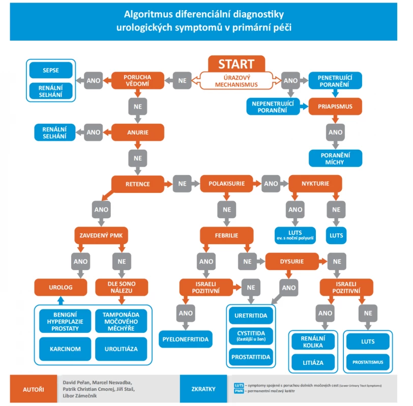 Algoritmus diferenciální diagnostiky urologických symptomů v primární péči