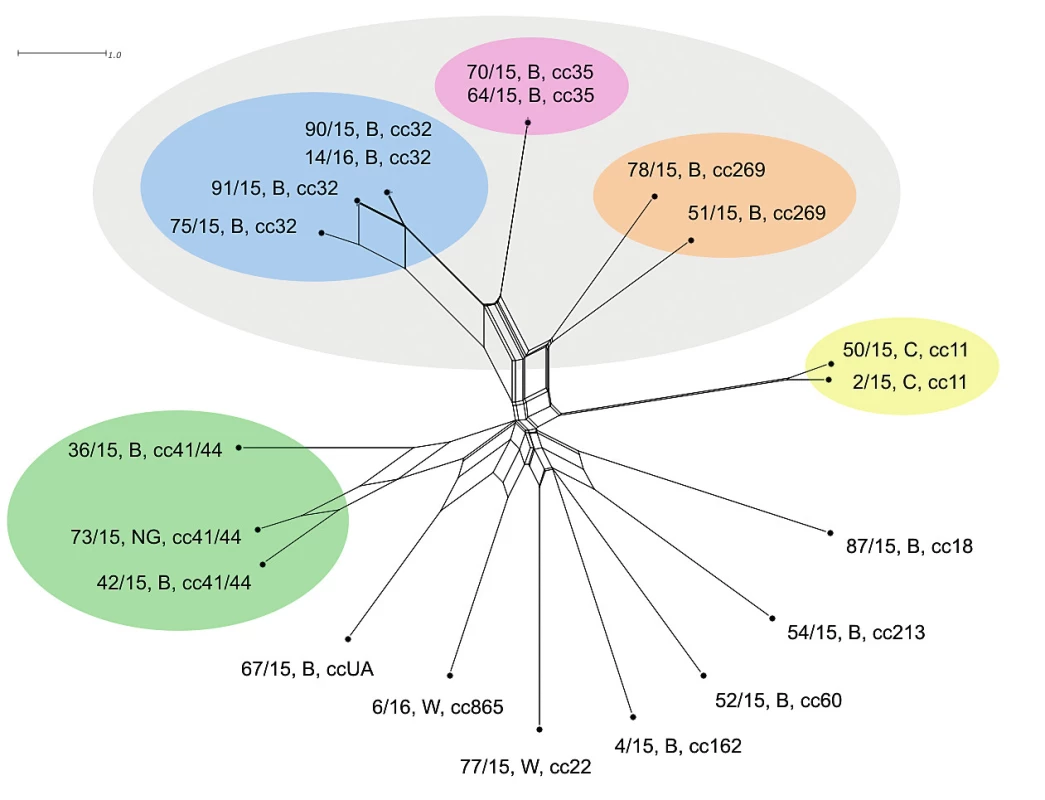 Vizualizace genetické diverzity na úrovni schématu MLST u 20 izolátů z IMO, 2015, ČR <br>Figure 1. Visualisation of genetic diversity at the MLST level in 20 isolates from IMD, Czech Republic 2015