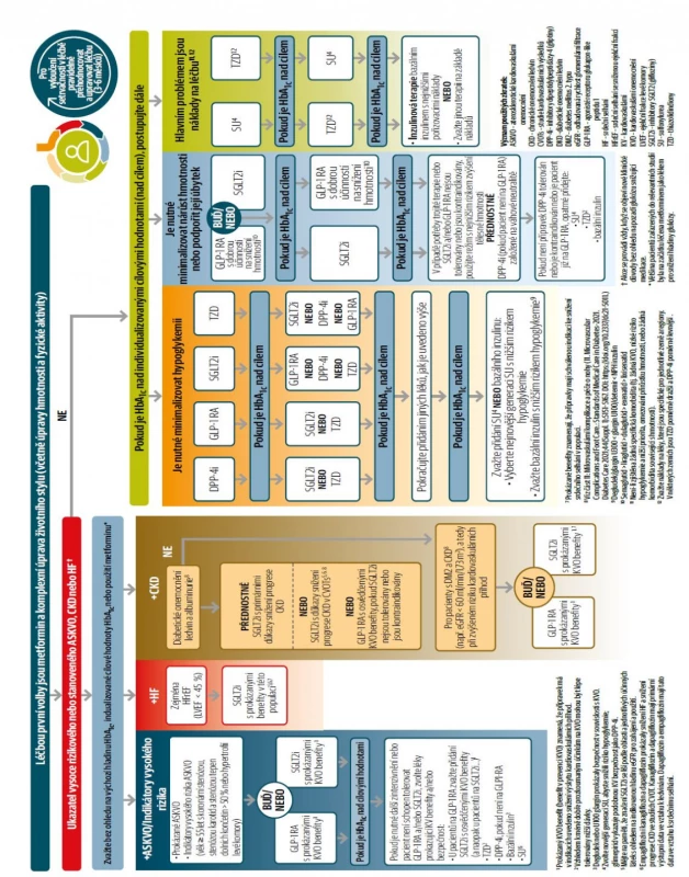 Léčba snižující hladinu glukózy u diabetu 2. typu: adaptace ADA Professional Practice Committee (PPC) z roku 2021 podle Daviese et al.# a Buse et al.##
[Upraveno podle: 9. Pharmacologic Approaches to Glycemic Treatment: Standards of Medical Care in Diabetes–2021. Diabetes Care 2021;44(Suppl. 1):S111–S124.]