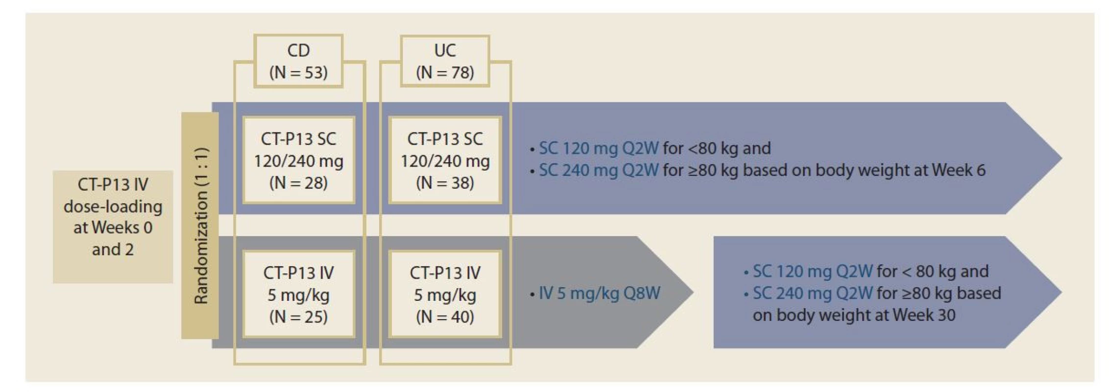 Design studie CT-P13 1.6 monitorující farmakokinetiky CT-P13 při subkutánním a intravenózním podávání [2].<br>
Fig. 1. CT-P13 1.6 study design which monitored the pharmacokinetics of CT-P13 in subcutaneous and intravenous
administration [2].