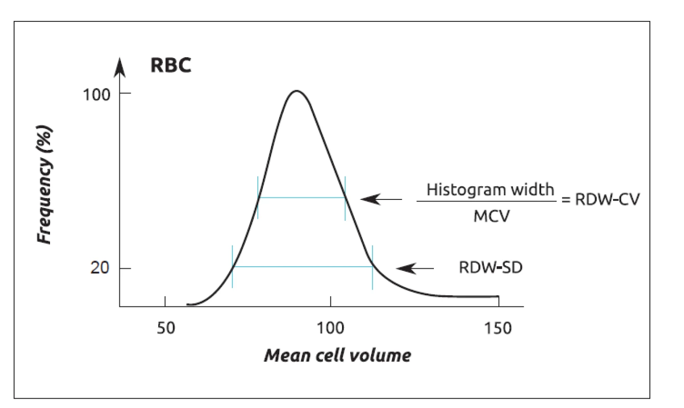 Odečet parametru RDW z histogramu RBC (zdroj: Med-Health.net [6]).<br>
RBC – erytrocyty, RDW – šíře distribuce erytrocytů, CV – variační koefi cient,<br>
SD – směrodatná odchylka