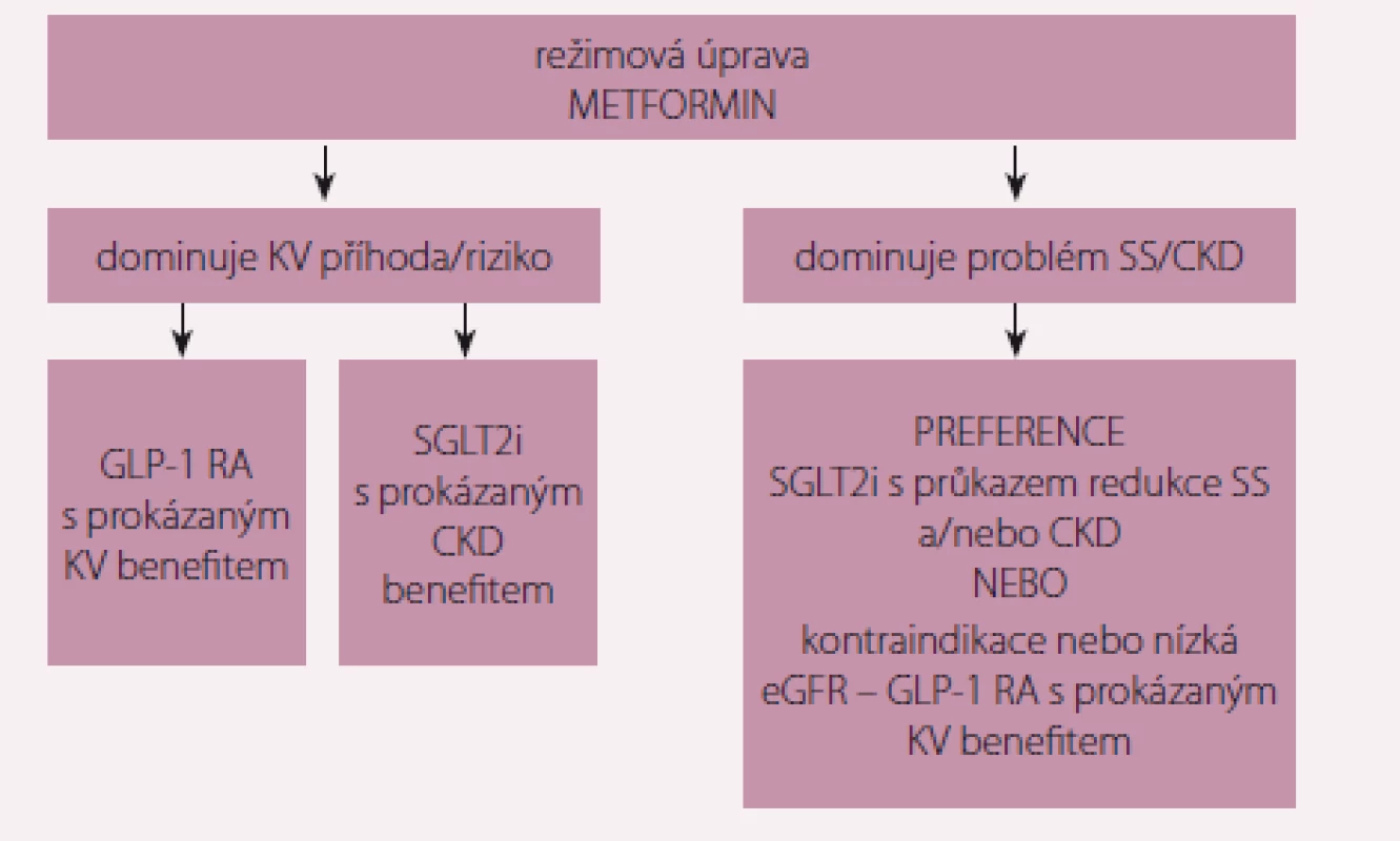 Pozice a indikace nových antidiabetik v léčbě DM2.
DM2 – diabetes mellitus 2. typu; KV – kardiovaskulární; SS – srdeční selhání; CKD – chronické
onemocnění ledvin; GLP-1 RA – agonista receptoru pro GLP-1; SGLT2i – inhibitory SGLT2