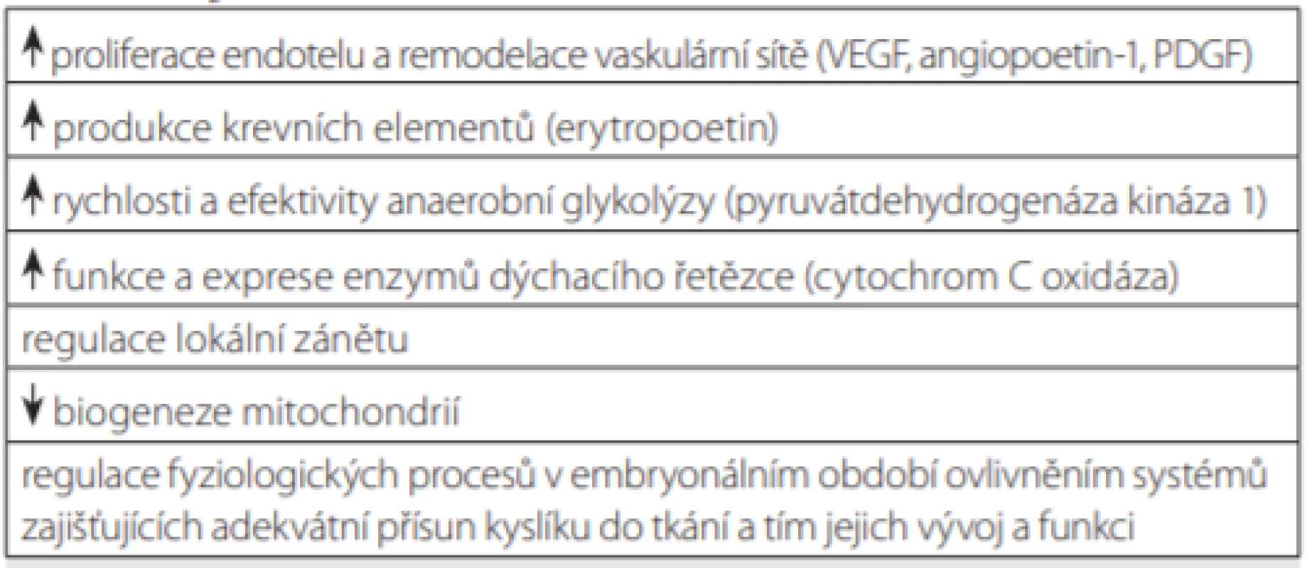 Role HIF-1 ve vybraných fyziologických (vývoj cévní sítě pro
distribuci O2
) a patologických stavech (adaptace na hypoxii)