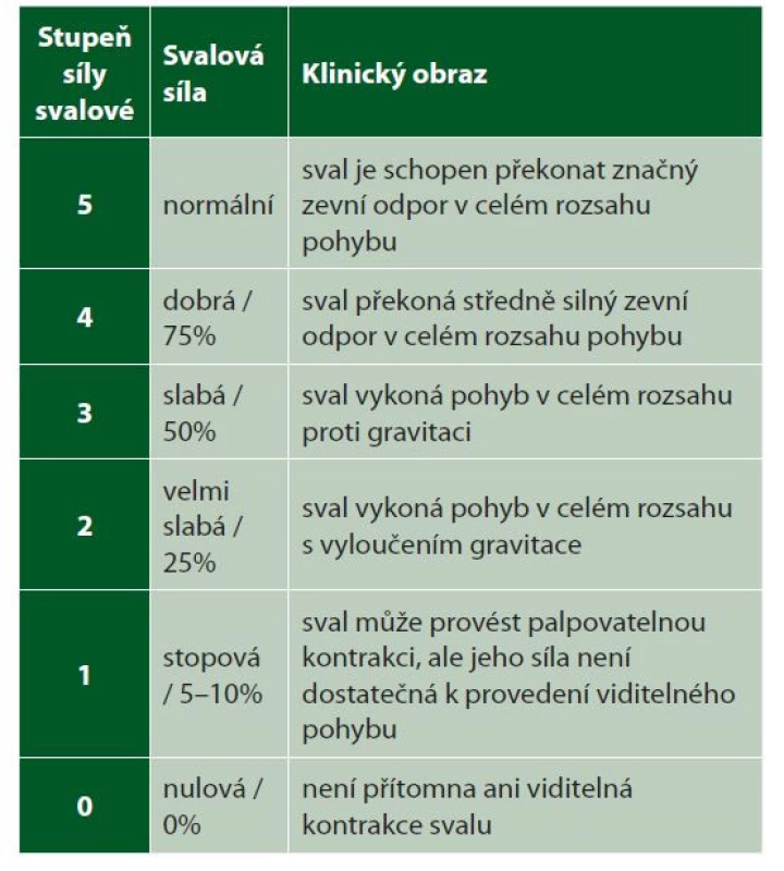 Svalový test