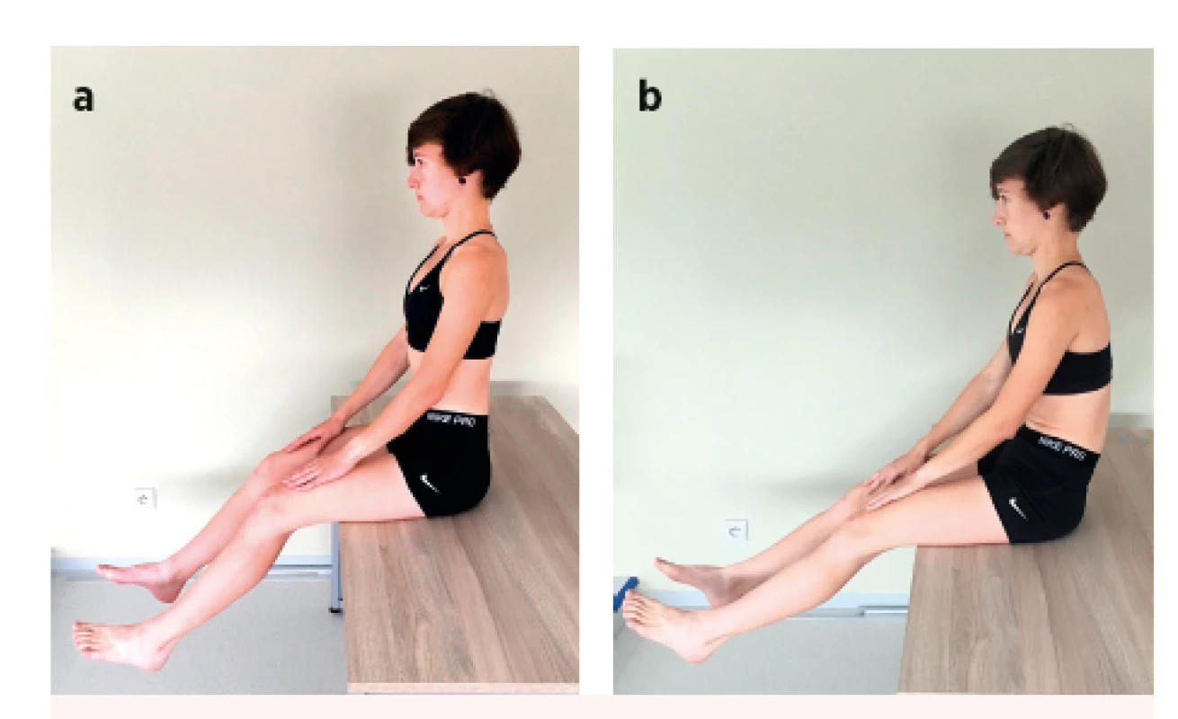 Sitting knee extension test